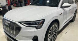 2019 Audi E-Tron Technik55