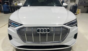 2019 Audi E-Tron Technik55 full